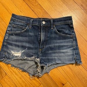 Agolde jaden shorts!